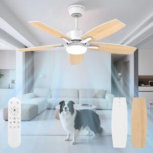 A: Silencieux Ventilateur Plafond avec Lumiere et Telecommande,