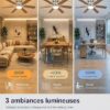 Airwit 132 cm Ventilateur de Plafond avec Lumière, Pales Double Face Bois & Argent, Silencieux pour Chambre et Salon,
