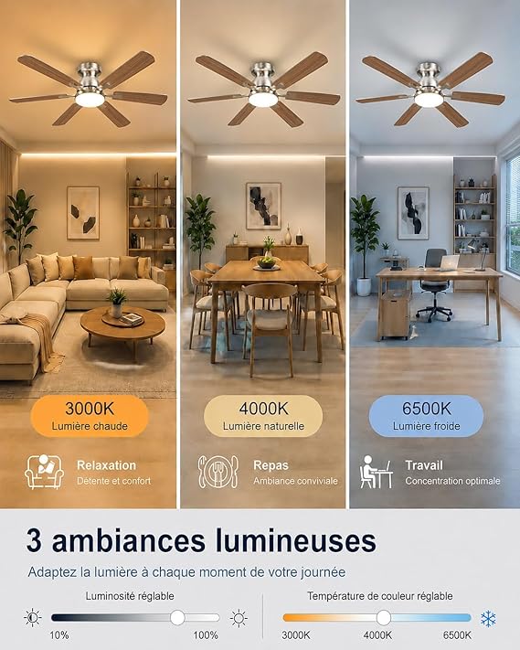 Airwit 132 cm Ventilateur de Plafond avec Lumière, Pales Double Face Bois & Argent, Silencieux pour Chambre et Salon,