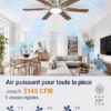 Airwit 132 cm Ventilateur de Plafond avec Lumière, Pales Double Face Bois & Argent, Silencieux pour Chambre et Salon,