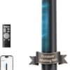 DREO TurboCool 711AS Ventilateur Brumisateur d’Extérieur, 10 m/s, 12 vitesses