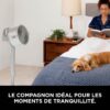 A nouveau :Shark FlexBreeze Pro Mist Ventilateur intérieur/extérieur sans fil, brumisateur portable, portée 20 m, sur pied ou de table, 5 vitesses, silencieux, télécommande, dove, FA300WHEU